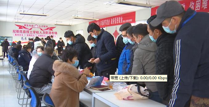 石笼网 第204页