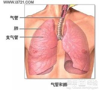 最新气管炎治疗方法突破传统，迈向高效治愈新纪元