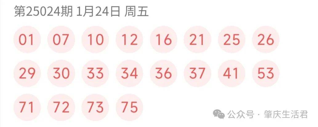 2025年澳门今晚开奖结果查询表｜最新核心解答落实