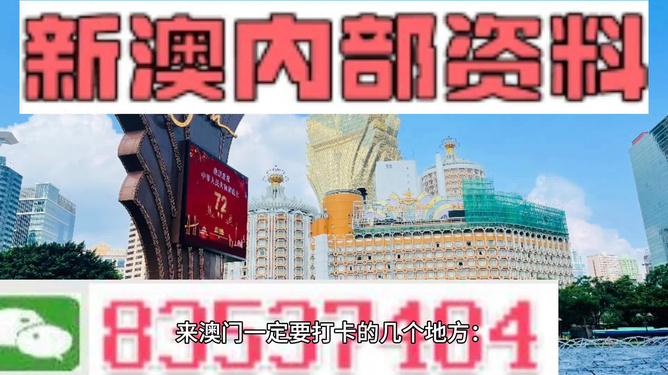 新澳门精准资料大全管家婆料,稳定设计解析_豪华版180.300