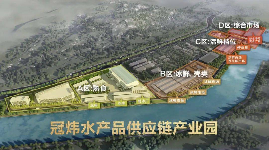双城市发展和改革局最新项目进展与动态更新