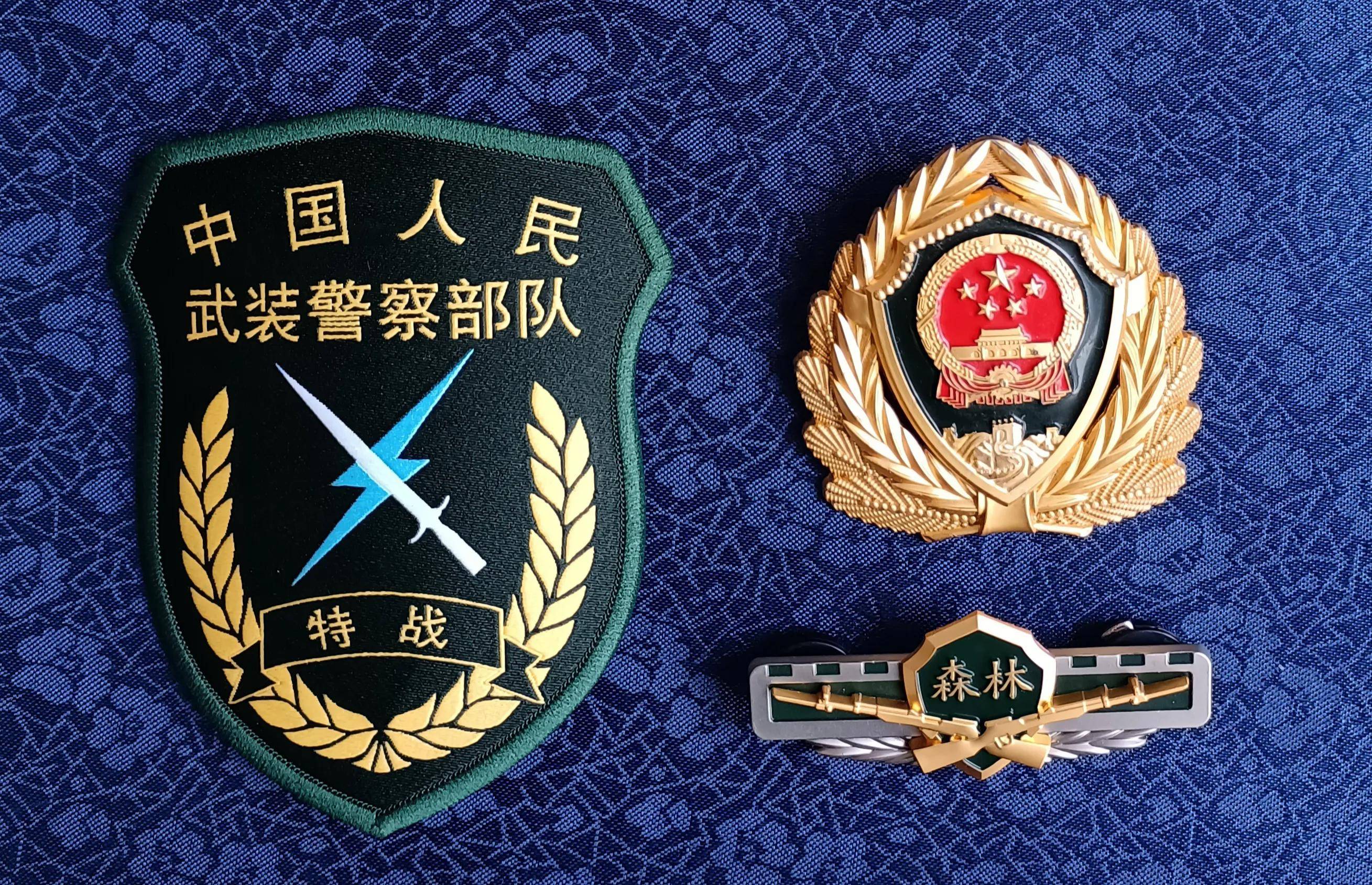武警最新臂章，全新面貌与象征意义解析