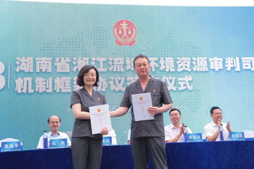 珠晖区计划生育委员会最新发展规划概览