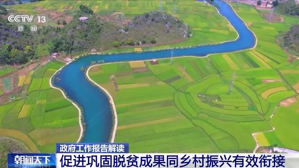 2025年3月11日 第31页